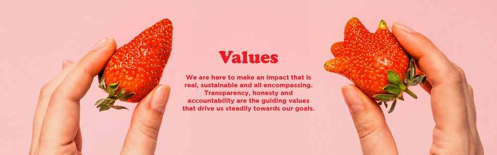 Values-banner-Desktop